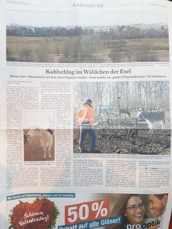 Eselwäldchen Kampfmittelerkundung